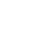 EVERYTHING