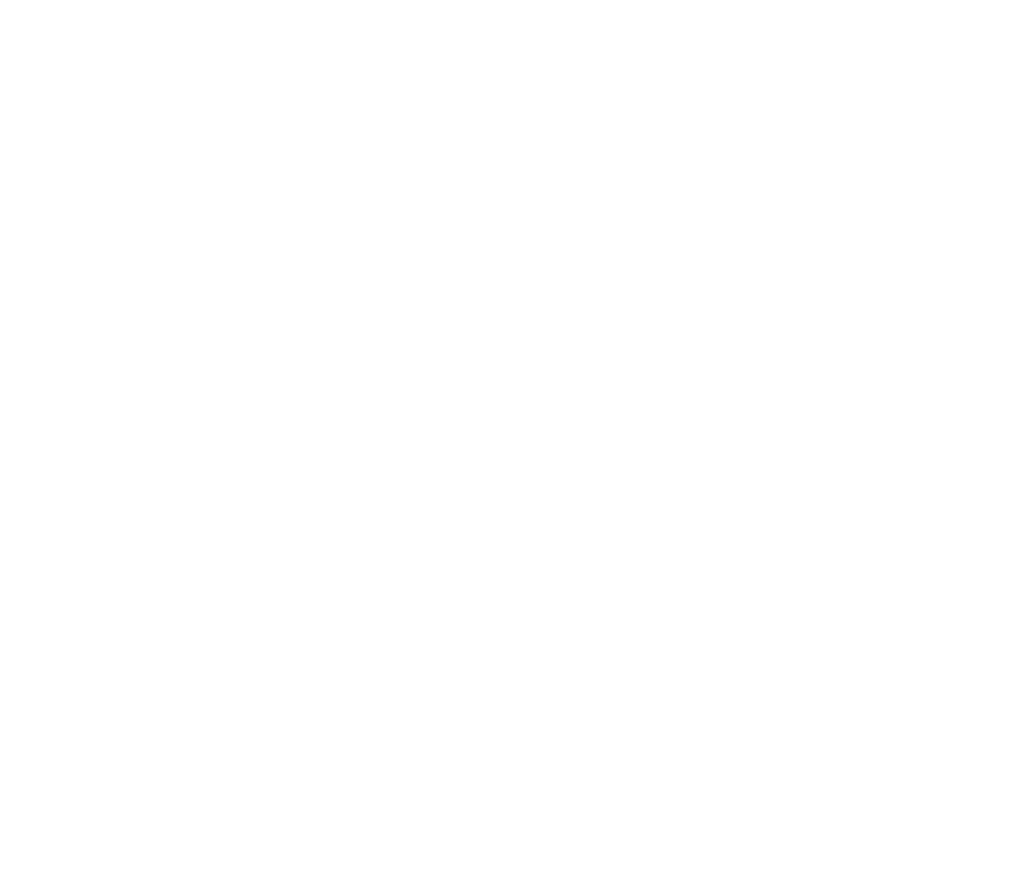 EVERYTHING